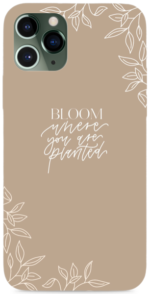 Bloom