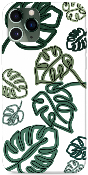 Monstera leafs